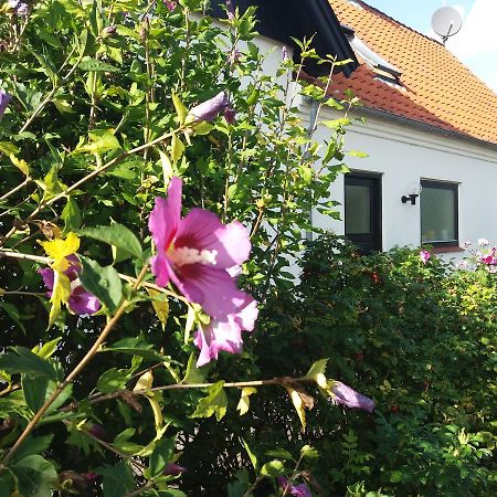 B & B Hygge Stoense Εξωτερικό φωτογραφία