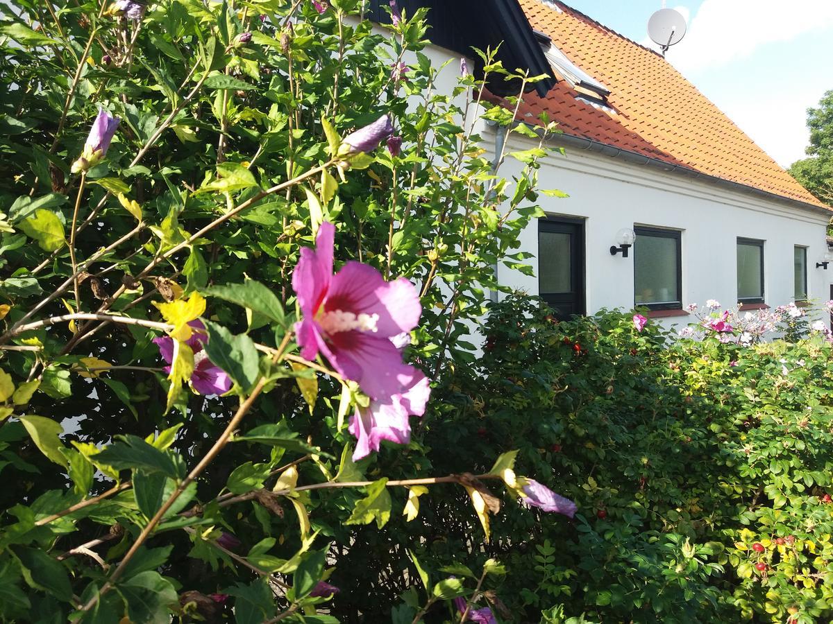 B & B Hygge Stoense Εξωτερικό φωτογραφία